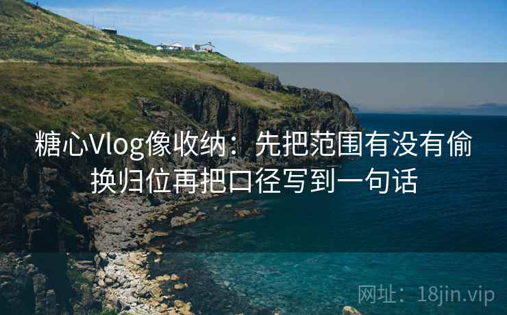 糖心Vlog像收纳：先把范围有没有偷换归位再把口径写到一句话  第2张